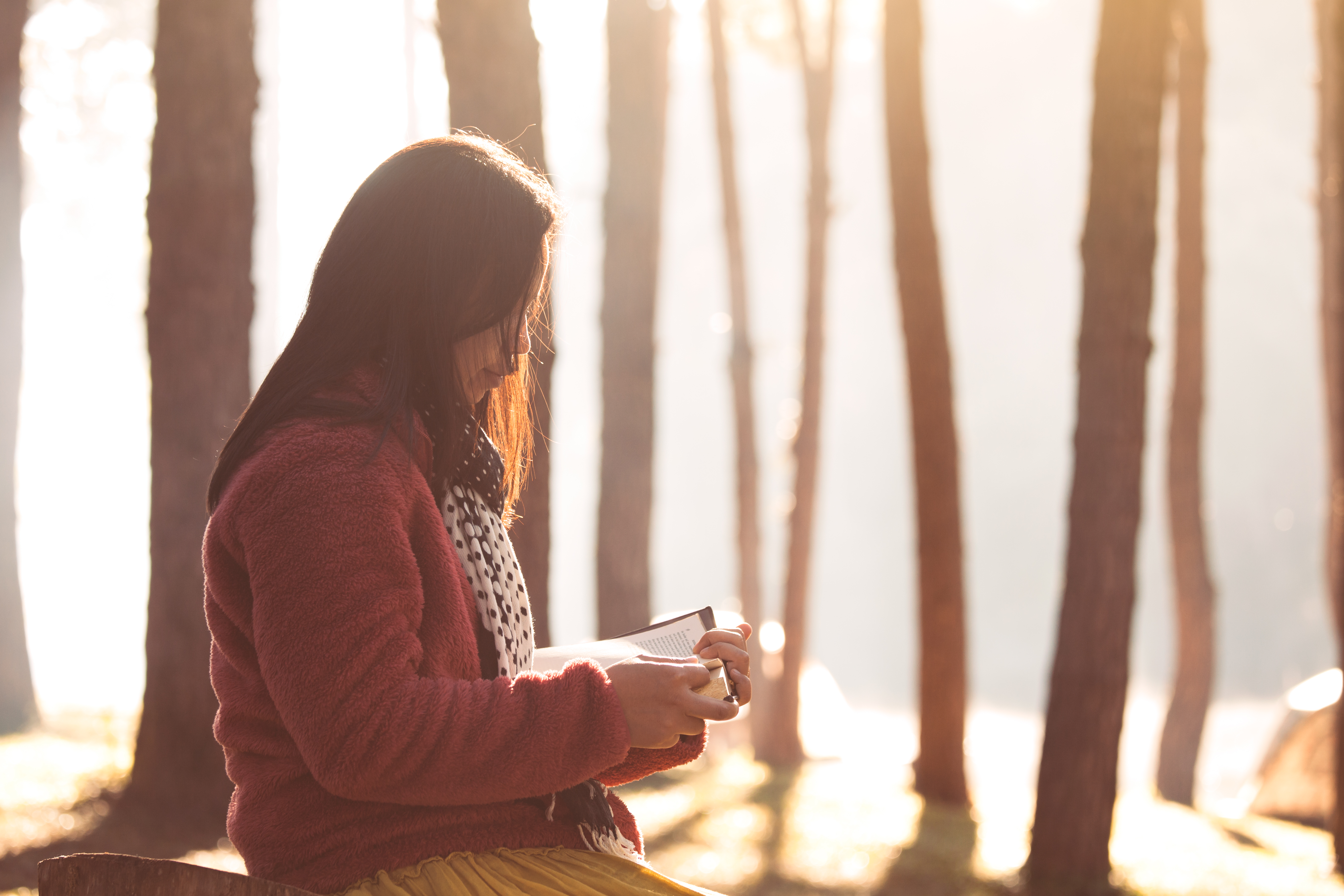 Young woman reading a book in the nature park with freshness in