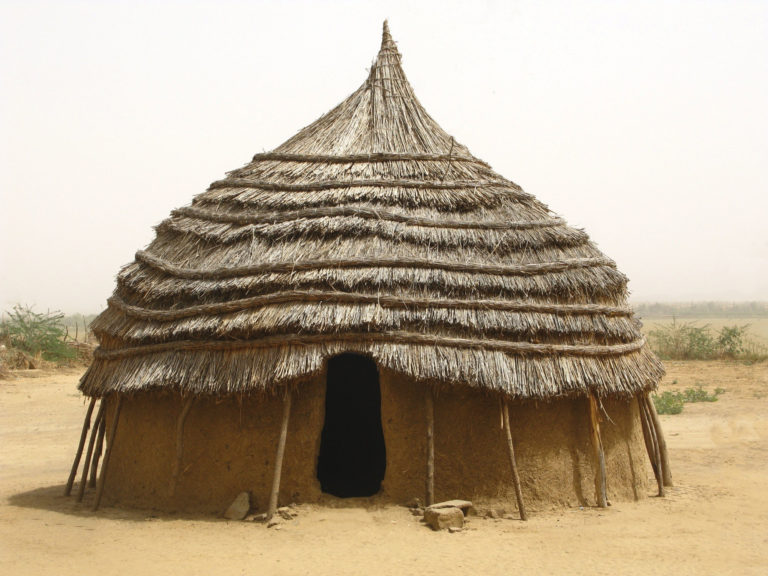 mud and thatch hut in niger