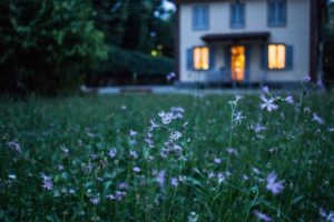 flowers lawn outside home at dusk