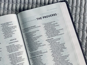 bible proverbs