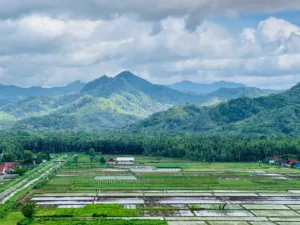 indonesia landscape